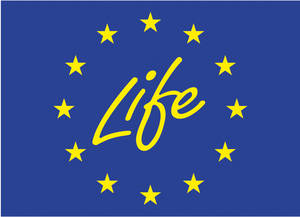 Life plus logo
